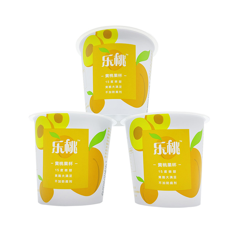 Pp plastic spuitgietcontainer